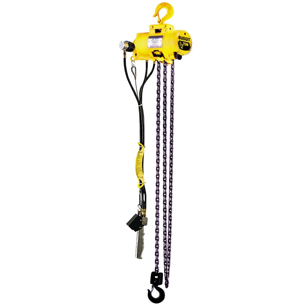 Budgit Series 2200 Air Chain Hoist, 3/8 Ton, 10' Lift, 60 FPM Max