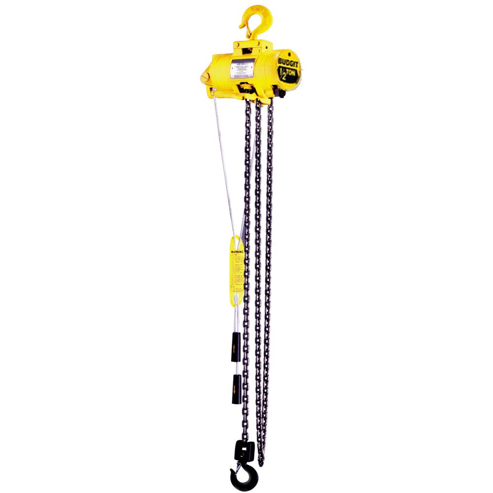Budgit Series 2200 Air Chain Hoist, 1/4 Ton, 10' Lift, 65 FPM Max